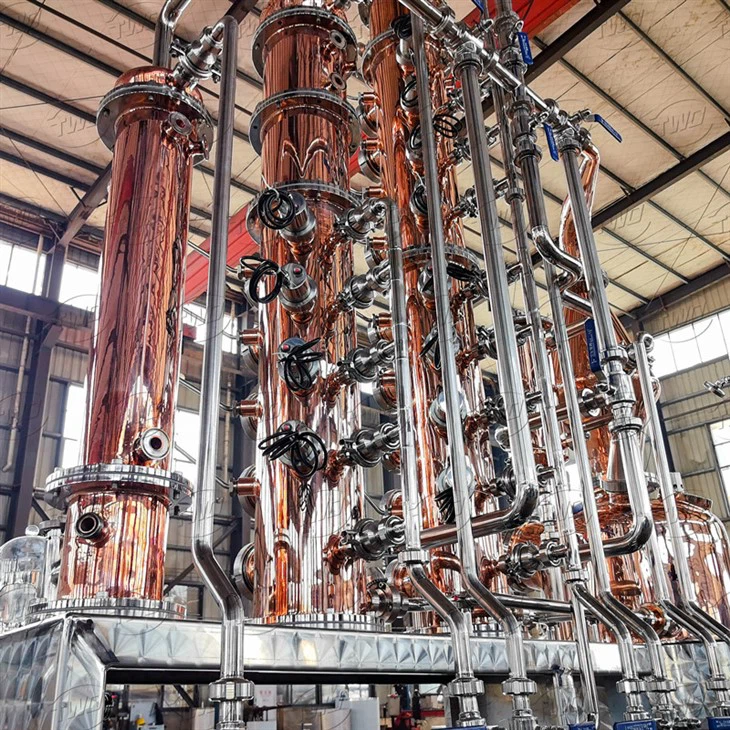 IMG_20250302_135704-1_